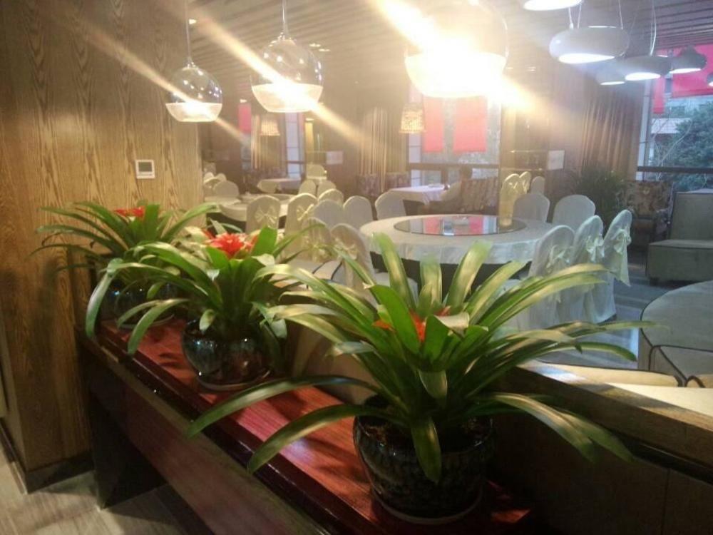Chengdu Hello Hotel 슈앙리우 외부 사진
